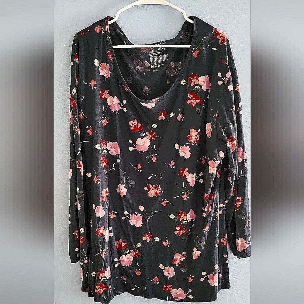 Terra & Sky Womens long sleeve shirt 2X